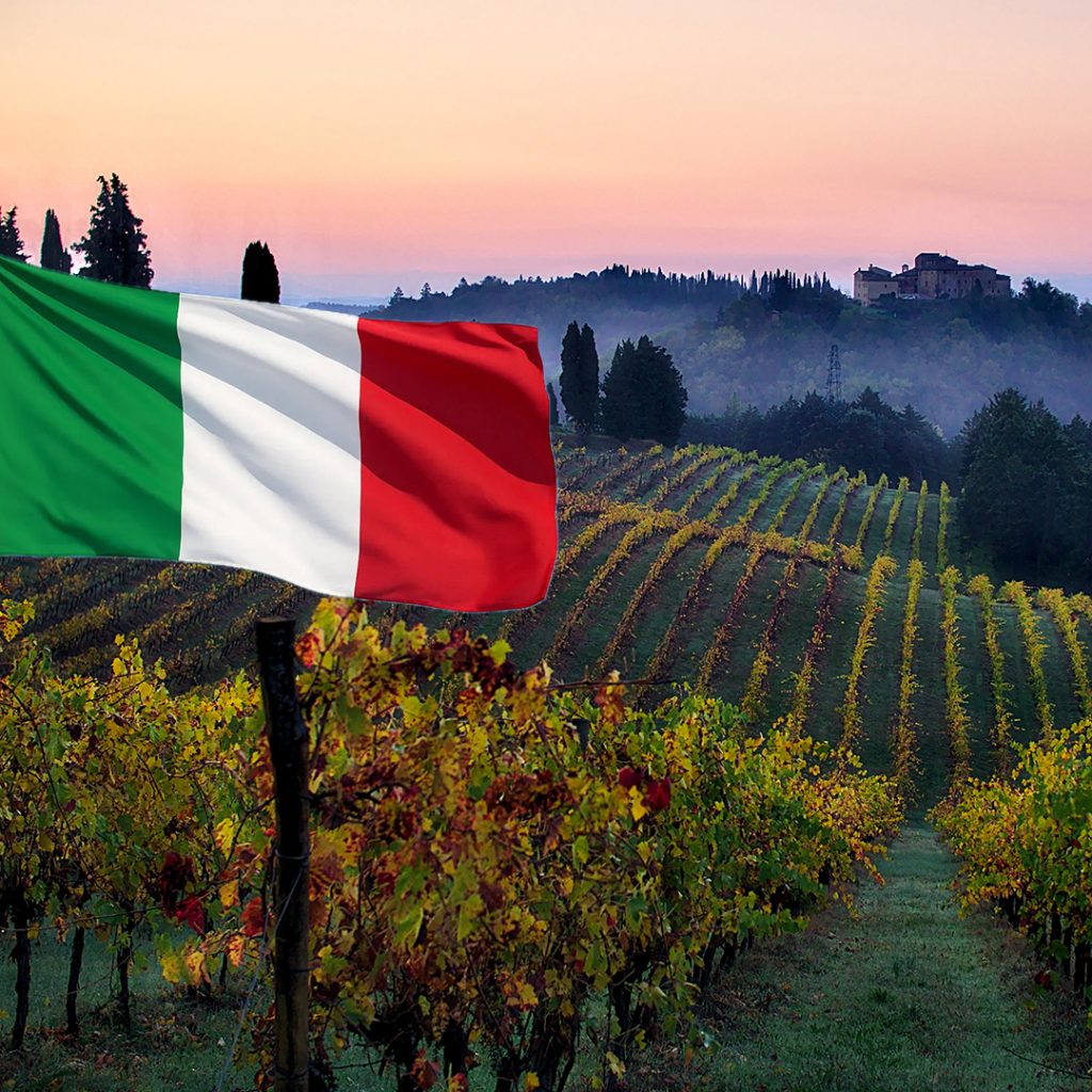 wijngaard italie italiaanse vlag